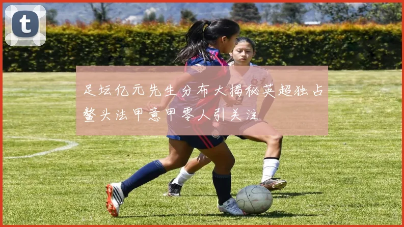足坛亿元先生分布大揭秘英超独占鳌头法甲意甲零人引关注